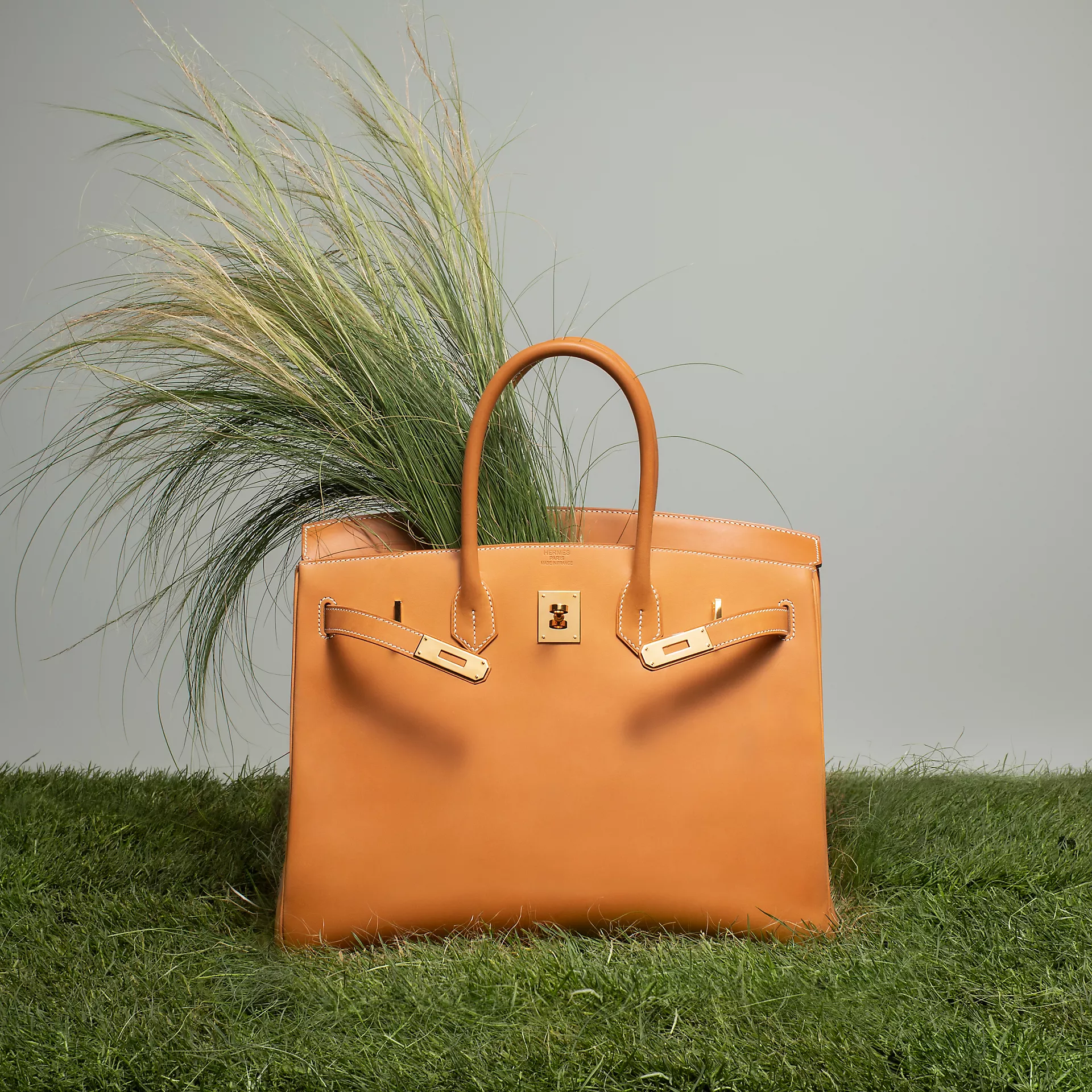 Birkin Handbag